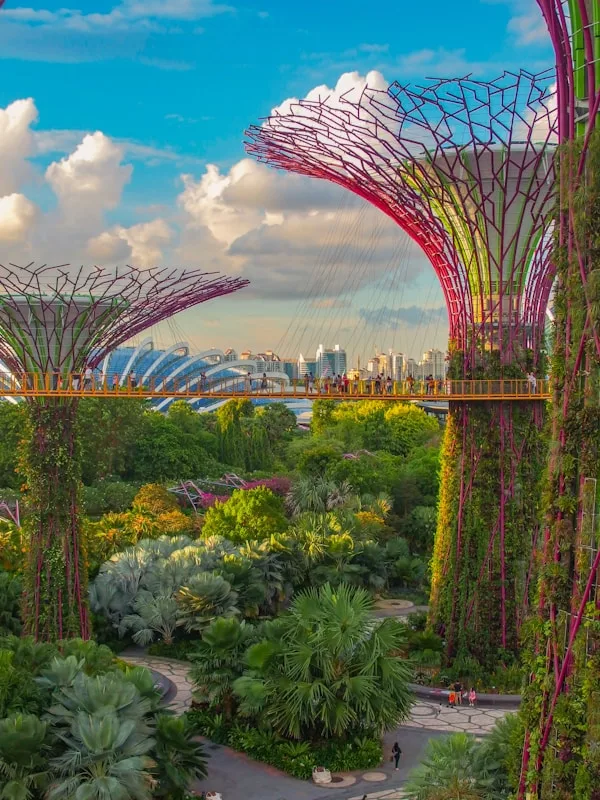 Gardens by the Bay — Combo Ticket
